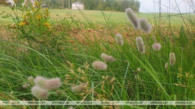 Чырвоны ўзровень небяспекі аб&#039;яўлены ў Гомельскай вобласці на 4-6 верасня