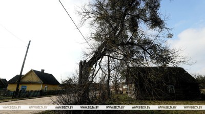 Госкомимущество: показатели по вовлечению в оборот пустующих домов на 2025 год увеличены на 25%
