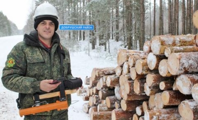 В Тереховском лесничестве рассказали, почему даже в заснеженном лесу для них дел непочатый край