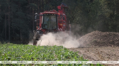 Vegetable harvest in Belarus almost complete