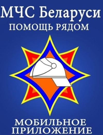 В дом залетела летучая мышь или вас укусила змея: МЧС Беларуси - помощь рядом!